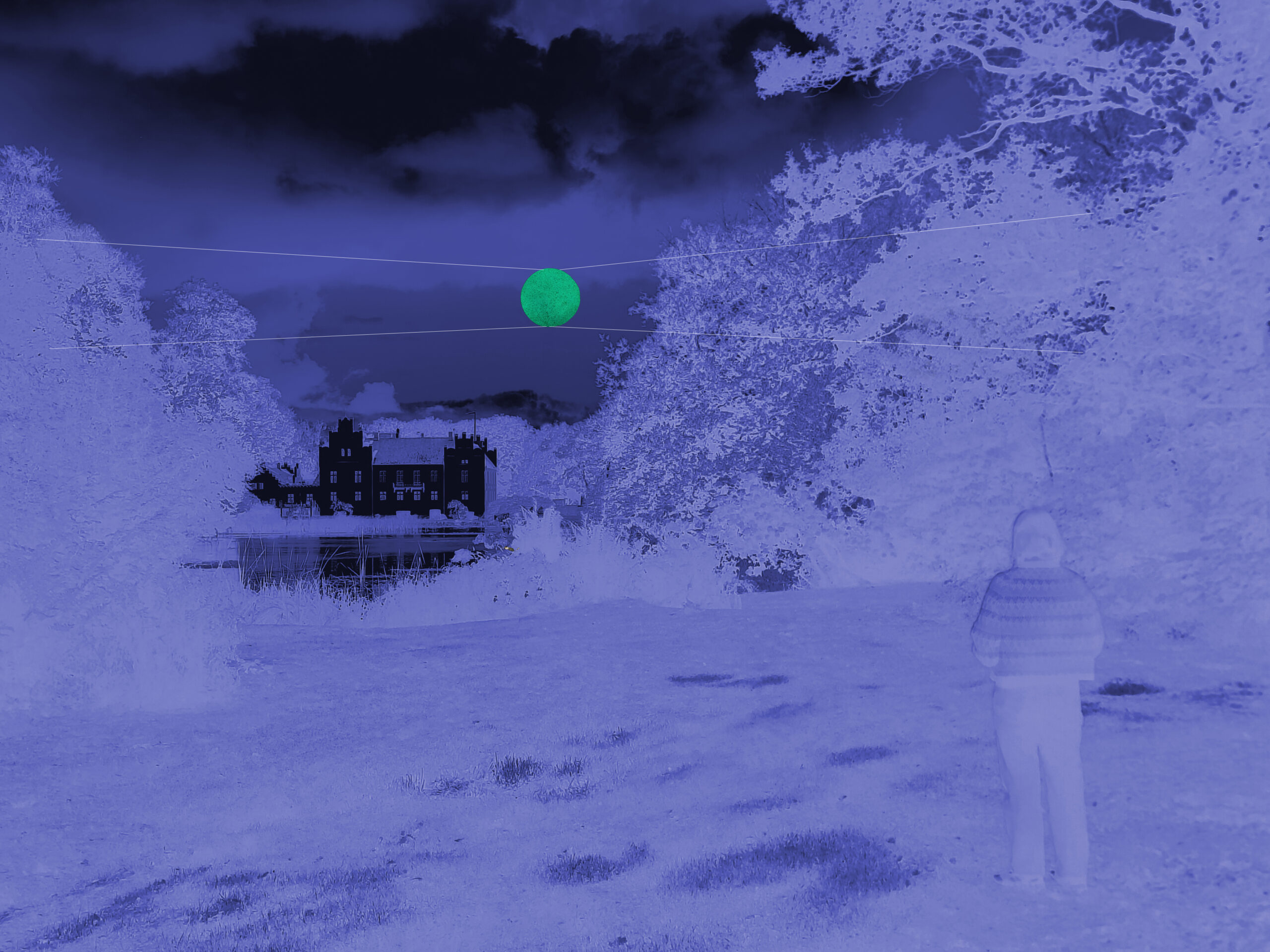 Collection Highlight