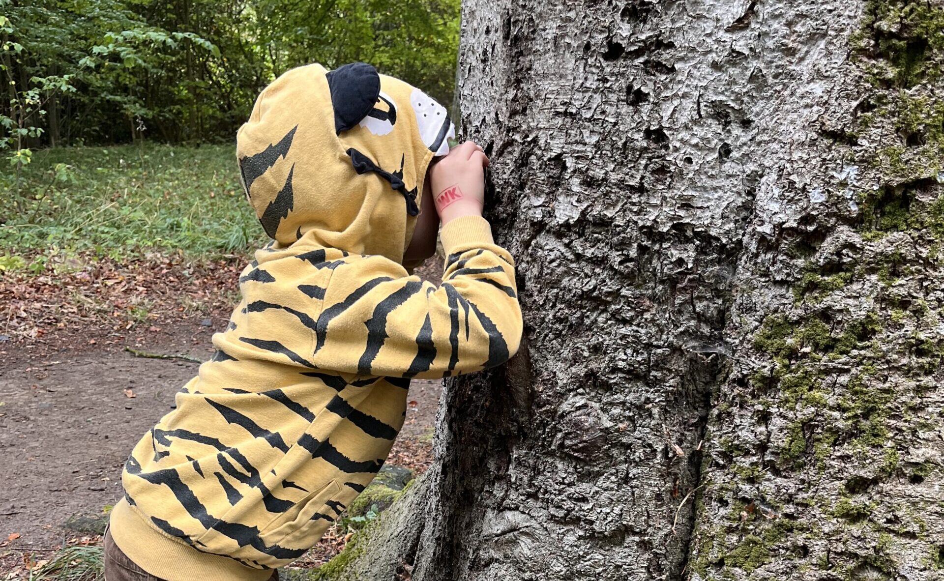 Ta dig en titt i naturreservatet