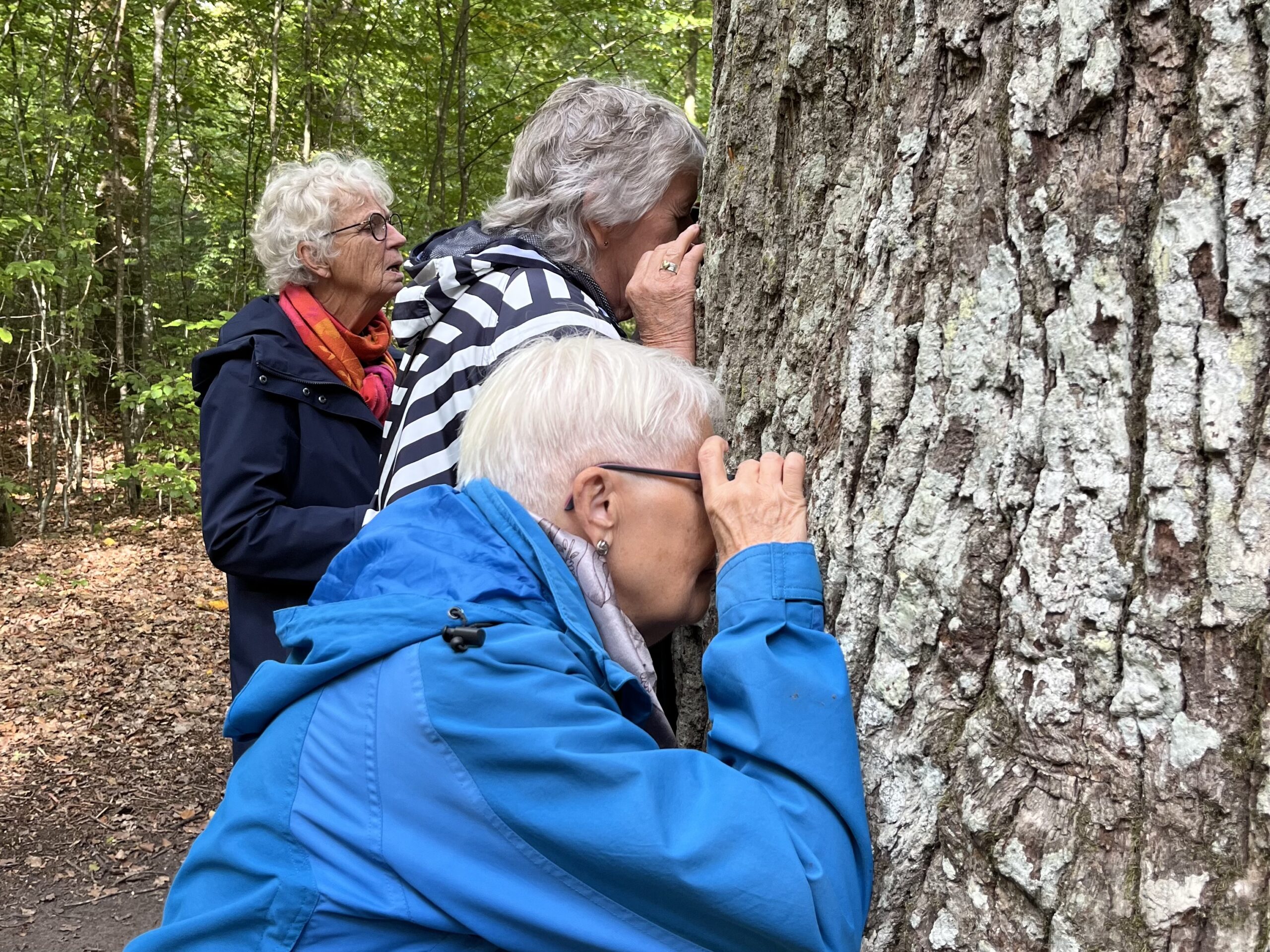 Ta dig en titt i naturreservatet
